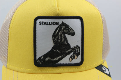 Goorin Bros Stallion