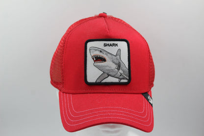 Goorin Bros Shark