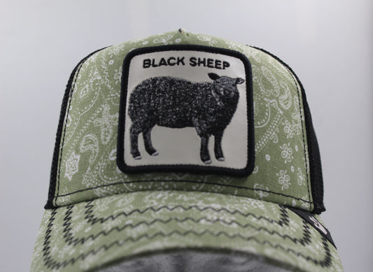 Goorin Bros Black Sheep Edición Paisley