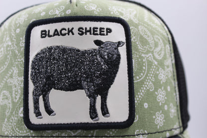 Goorin Bros Black Sheep Edición Paisley